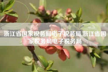 浙江省国家税务局电子税务局,浙江省国家税务局电子税务局