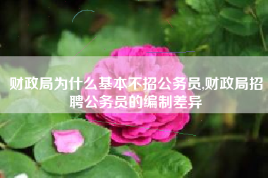 财政局为什么基本不招公务员,财政局招聘公务员的编制差异