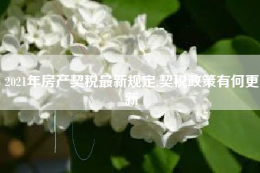 2021年房产契税最新规定,契税政策有何更新