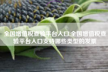 全国增值税查验平台入口,全国增值税查验平台入口支持哪些类型的发票