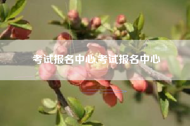 考试报名中心,考试报名中心