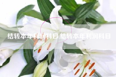 结转本年利润科目,结转本年利润科目