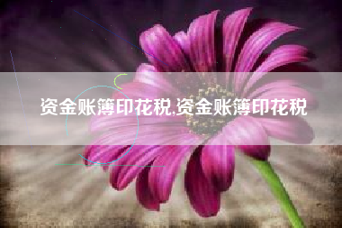 资金账簿印花税,资金账簿印花税