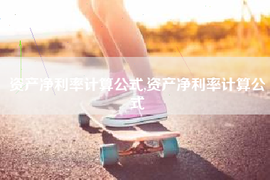 资产净利率计算公式,资产净利率计算公式