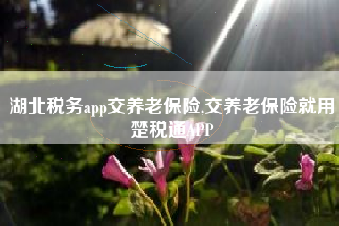 湖北税务app交养老保险,交养老保险就用楚税通APP