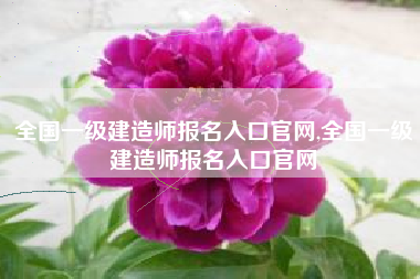 全国一级建造师报名入口官网,全国一级建造师报名入口官网