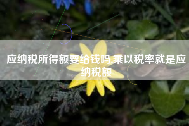 应纳税所得额要给钱吗,乘以税率就是应纳税额