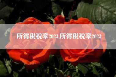 所得税税率2023,所得税税率2023
