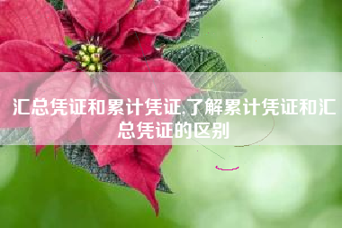 汇总凭证和累计凭证,了解累计凭证和汇总凭证的区别