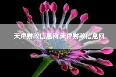 天津财政信息网,天津财政信息网