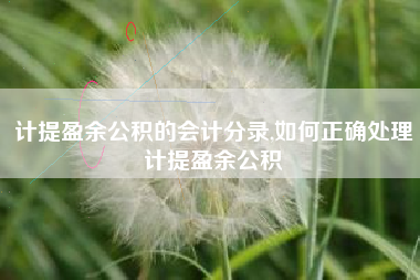 计提盈余公积的会计分录,如何正确处理计提盈余公积