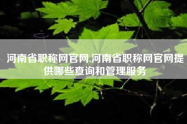 河南省职称网官网,河南省职称网官网提供哪些查询和管理服务