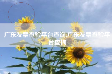 广东发票查验平台查询,广东发票查验平台查询