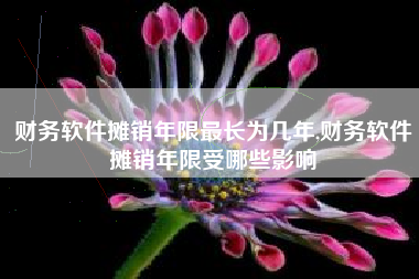 财务软件摊销年限最长为几年,财务软件摊销年限受哪些影响