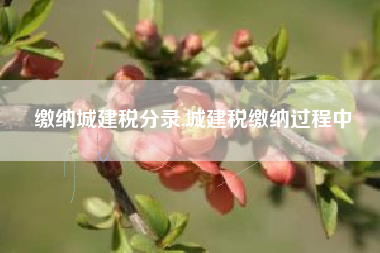 缴纳城建税分录,城建税缴纳过程中