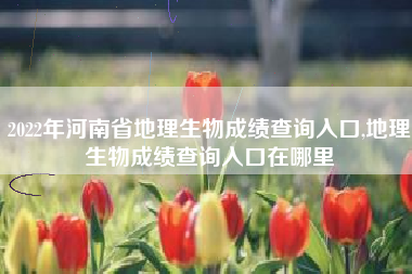 2022年河南省地理生物成绩查询入口,地理生物成绩查询入口在哪里