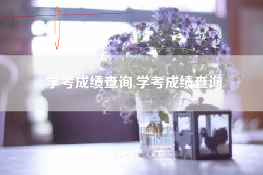 学考成绩查询,学考成绩查询