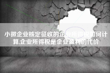 小微企业核定征收的企业所得税如何计算,企业所得税是企业盈利的代价