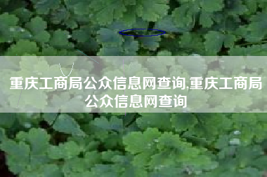 重庆工商局公众信息网查询,重庆工商局公众信息网查询