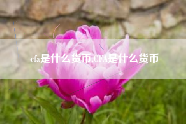cfa是什么货币,CFA是什么货币