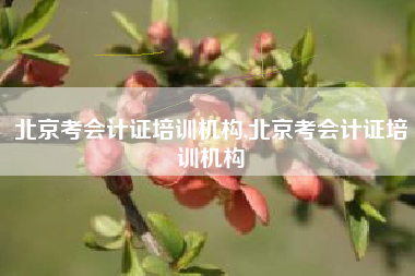 北京考会计证培训机构,北京考会计证培训机构