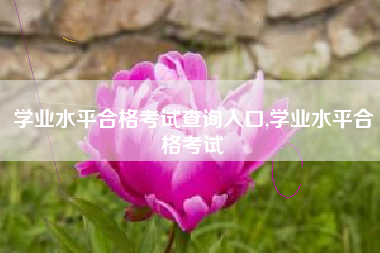 学业水平合格考试查询入口,学业水平合格考试