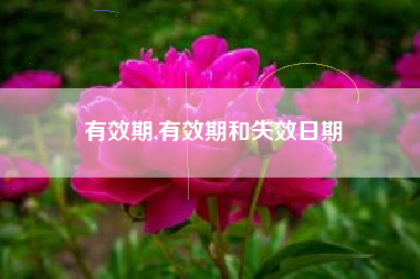 有效期,有效期和失效日期