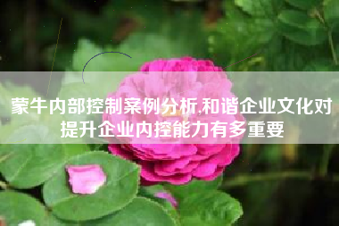 蒙牛内部控制案例分析,和谐企业文化对提升企业内控能力有多重要