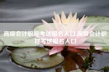 高级会计职称考试报名入口,高级会计职称考试报名入口