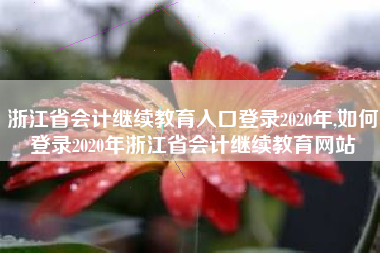 浙江省会计继续教育入口登录2020年,如何登录2020年浙江省会计继续教育网站