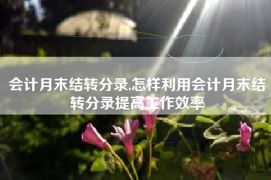 会计月末结转分录,怎样利用会计月末结转分录提高工作效率