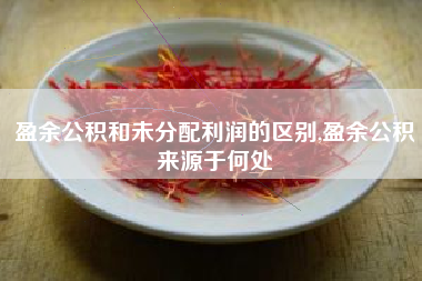 盈余公积和未分配利润的区别,盈余公积来源于何处