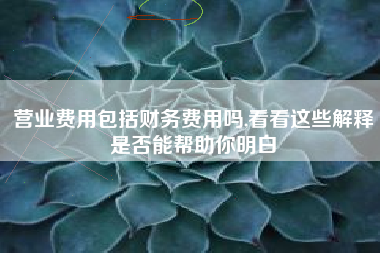 营业费用包括财务费用吗,看看这些解释是否能帮助你明白