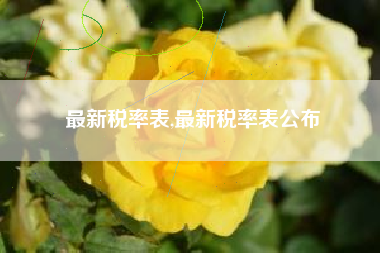 最新税率表,最新税率表公布