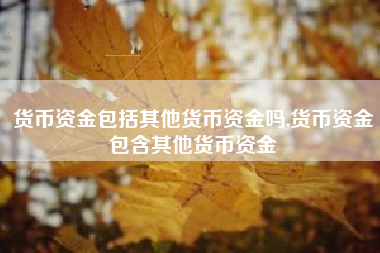 货币资金包括其他货币资金吗,货币资金包含其他货币资金