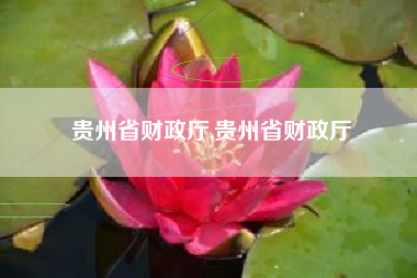贵州省财政厅,贵州省财政厅