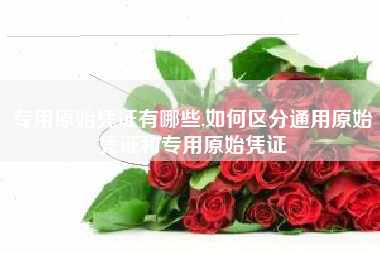 专用原始凭证有哪些,如何区分通用原始凭证和专用原始凭证