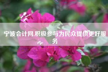 宁波会计网,积极参与为民众提供更好服务