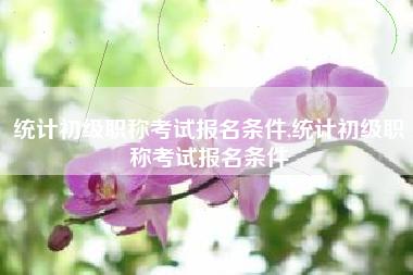 统计初级职称考试报名条件,统计初级职称考试报名条件