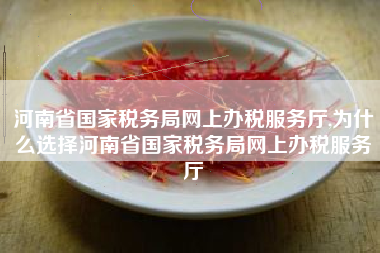 河南省国家税务局网上办税服务厅,为什么选择河南省国家税务局网上办税服务厅