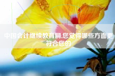 中国会计继续教育网,您觉得哪些方面更符合您的