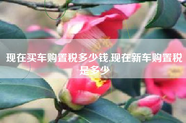 现在买车购置税多少钱,现在新车购置税是多少