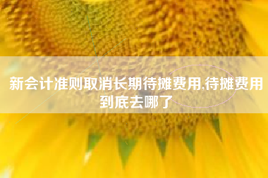 新会计准则取消长期待摊费用,待摊费用到底去哪了