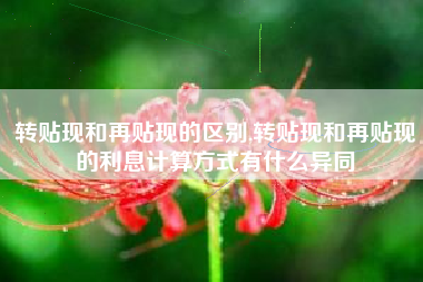 转贴现和再贴现的区别,转贴现和再贴现的利息计算方式有什么异同