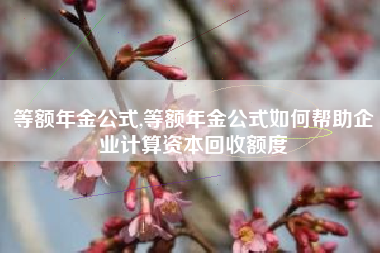 等额年金公式,等额年金公式如何帮助企业计算资本回收额度