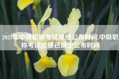 2021年中级职称考试成绩公布时间,中级职称考试成绩已确定公布时间