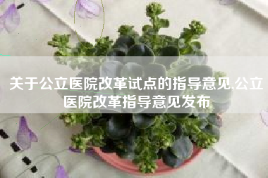 关于公立医院改革试点的指导意见,公立医院改革指导意见发布