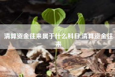 清算资金往来属于什么科目,清算资金往来