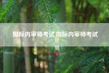 国际内审师考试,国际内审师考试