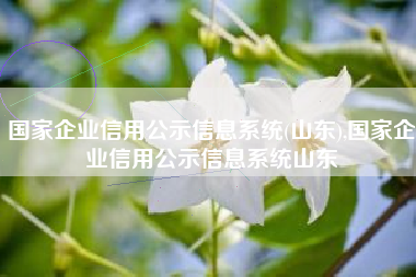 国家企业信用公示信息系统(山东),国家企业信用公示信息系统山东